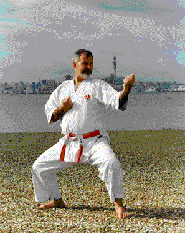 International Ryukyu Karate Research Society